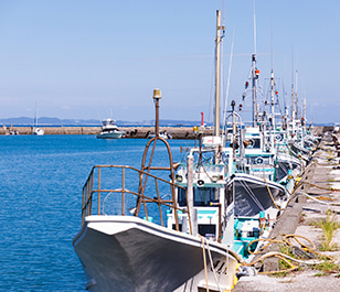 岩井富浦漁協イメージ画像